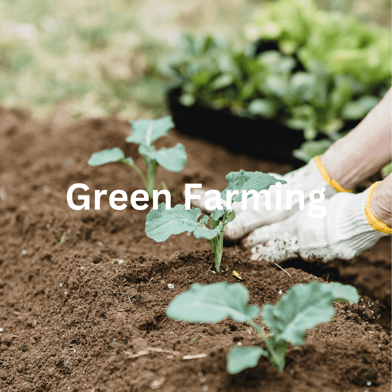 Green Farming